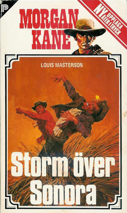 12 Storm över Sonora